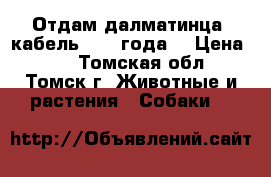 Отдам далматинца, кабель, 1,5 года. › Цена ­ 1 - Томская обл., Томск г. Животные и растения » Собаки   